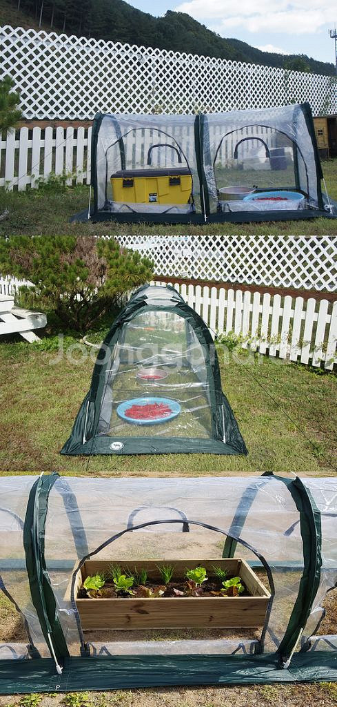 특허품 미니 비닐하우스 온실 고추건조기 이동식 원터치--7