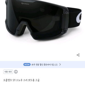 스키, 보드 고글