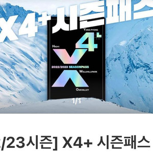 x4 시즌권 판매합니다