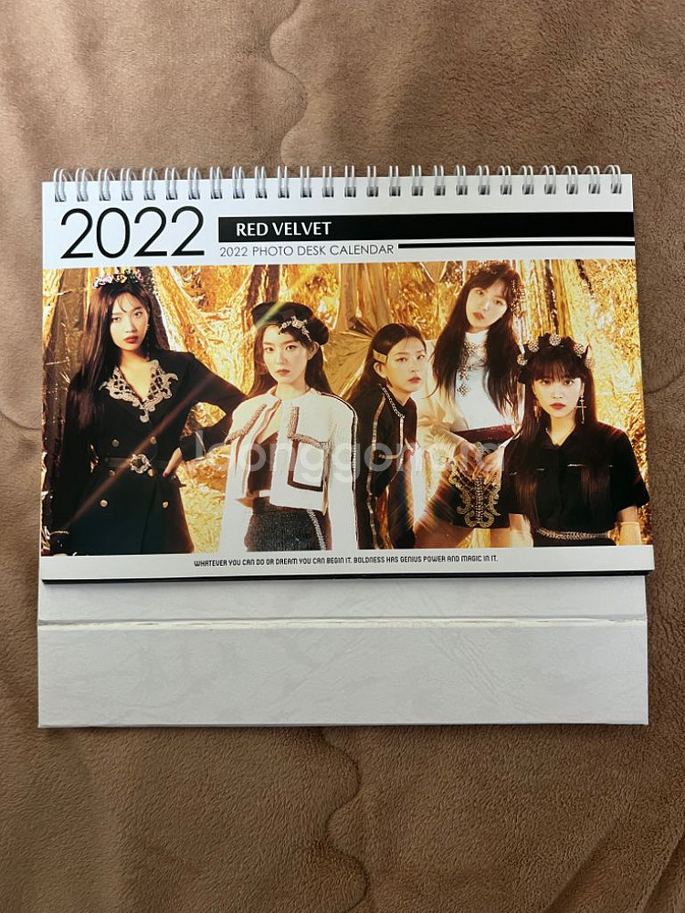 레드벨벳 앨범 25종 및 굿즈 포카 교통카드 등 일괄--8
