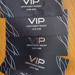 지산 스키장 vip