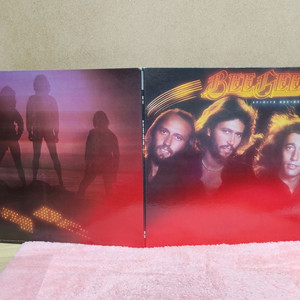 Bee Gees - Spirits Having Flow