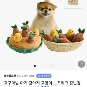 강아지 고구마밭 노즈워크