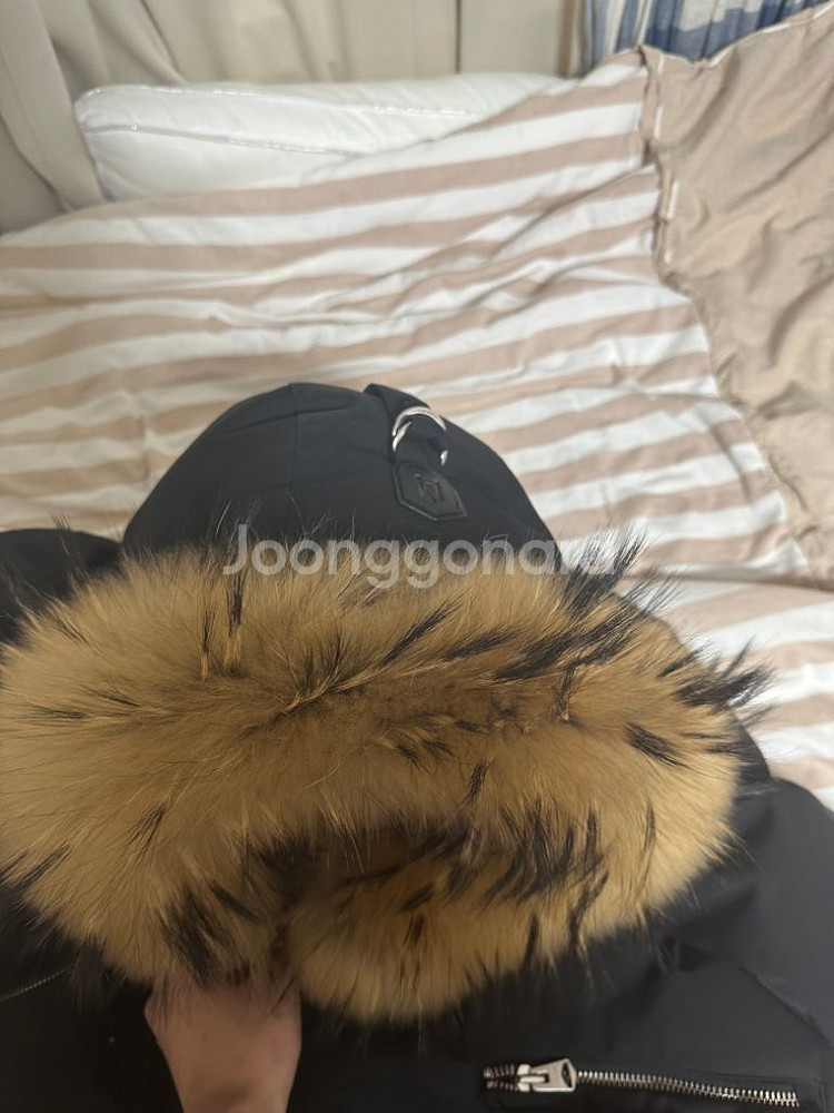 맥케이지 에드워드40--8
