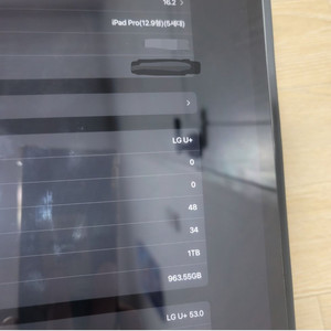 아이패드프로5세대 12.9 셀룰러 실버 1TB 램16G