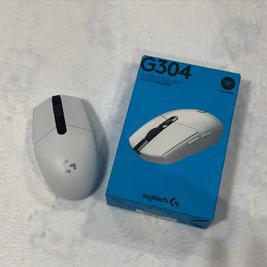 로지텍g304