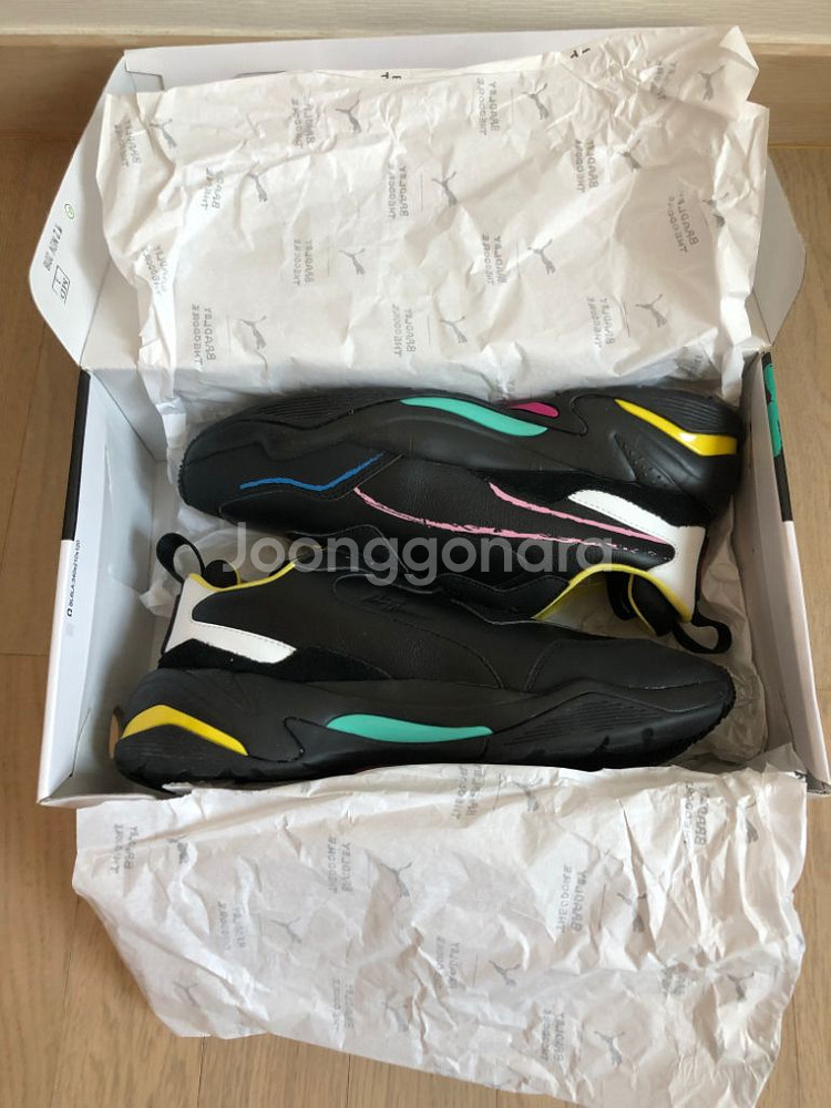 thunder bradley theodore