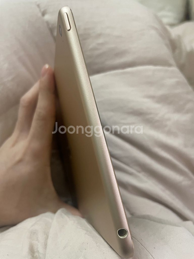 아이패드 미니4 64 로즈골드--4