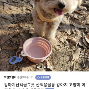 (새제품)강아지산책물그릇 산책용물통 강아지 고양이 여행