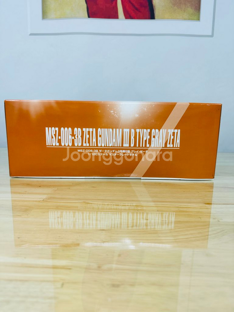 MSN-006-3B 그레이제타--1