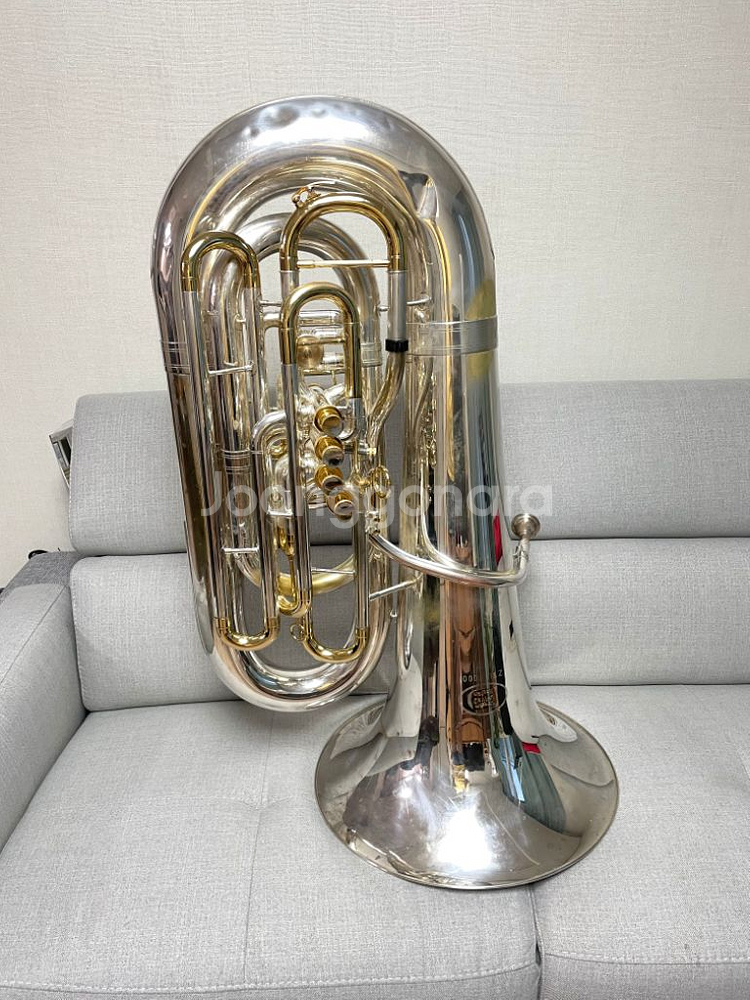 튜바 ZO C Tuba | 중고나라 카페에서 운영하는 공식 사이트
