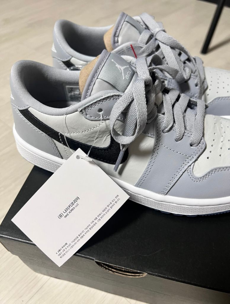 나이키 조던 골프 240 울프그레이--2