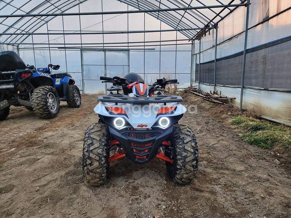 2023년식 카요불125cc 20km 미만주행 팝니다--1