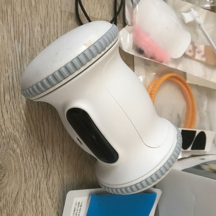 바램 펫피트니스 이미지