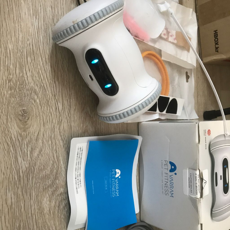 바램 펫피트니스 이미지