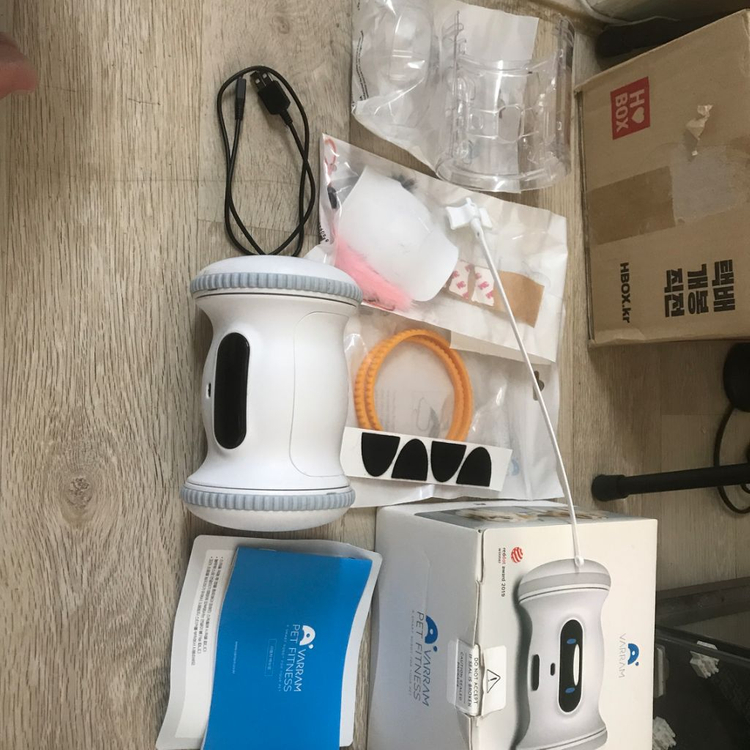 바램 펫피트니스 이미지