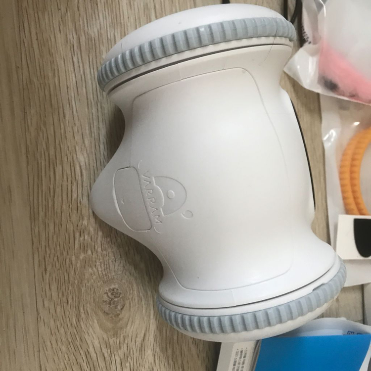 바램 펫피트니스 이미지