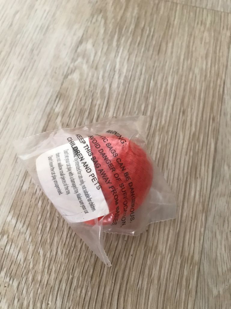 바램 펫피트니스 이미지