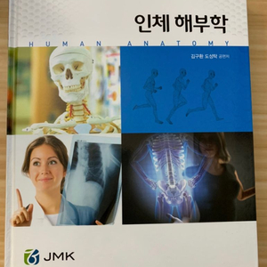 인체해부학 (JMK)