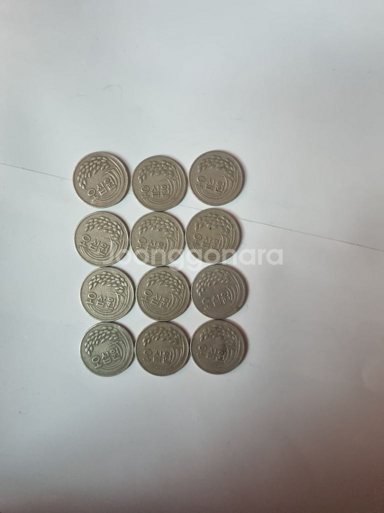 81 년 50주사진으로대신합니다--1