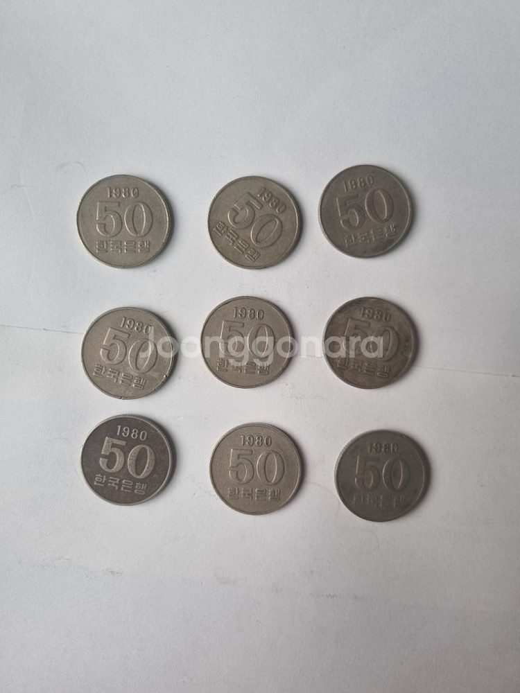 81 년 50주사진으로대신합니다--2