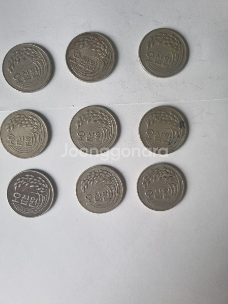 81 년 50주사진으로대신합니다--3