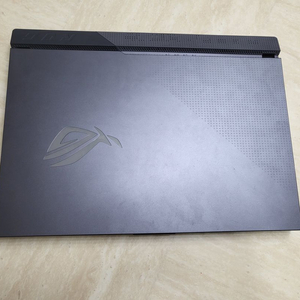 네고 가능 ASUS ROG G513QC-HN015