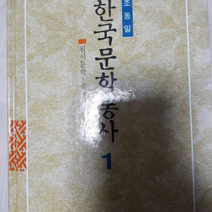 한국문학통사1, 중국문학사