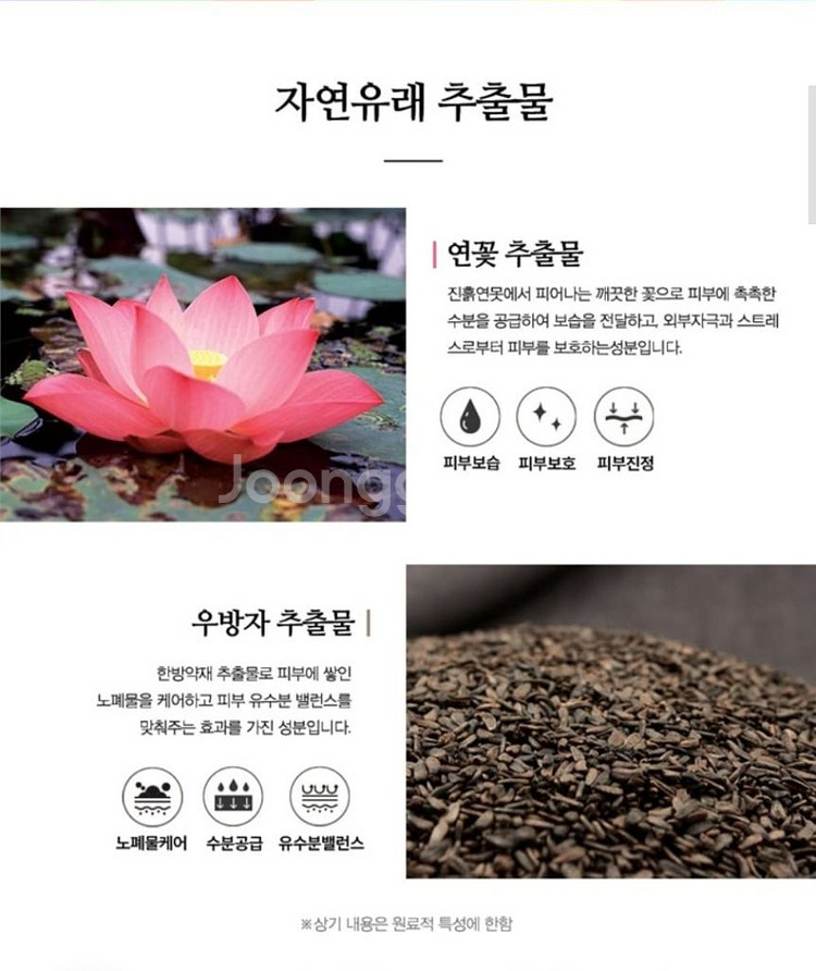 코리아나 로댕 궁 고흔 프리미엄 크림--5