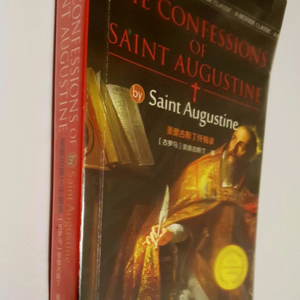 The confessions Saint Augustin