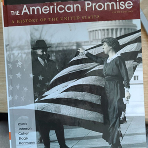 미국 원서 역사The Amerian Promise