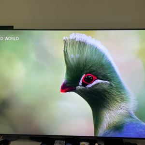 삼성 4K QLED TV 대구