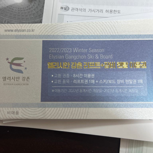 엘리시안 강촌 리프트 + 장비렌탈 8시간권 (2장)