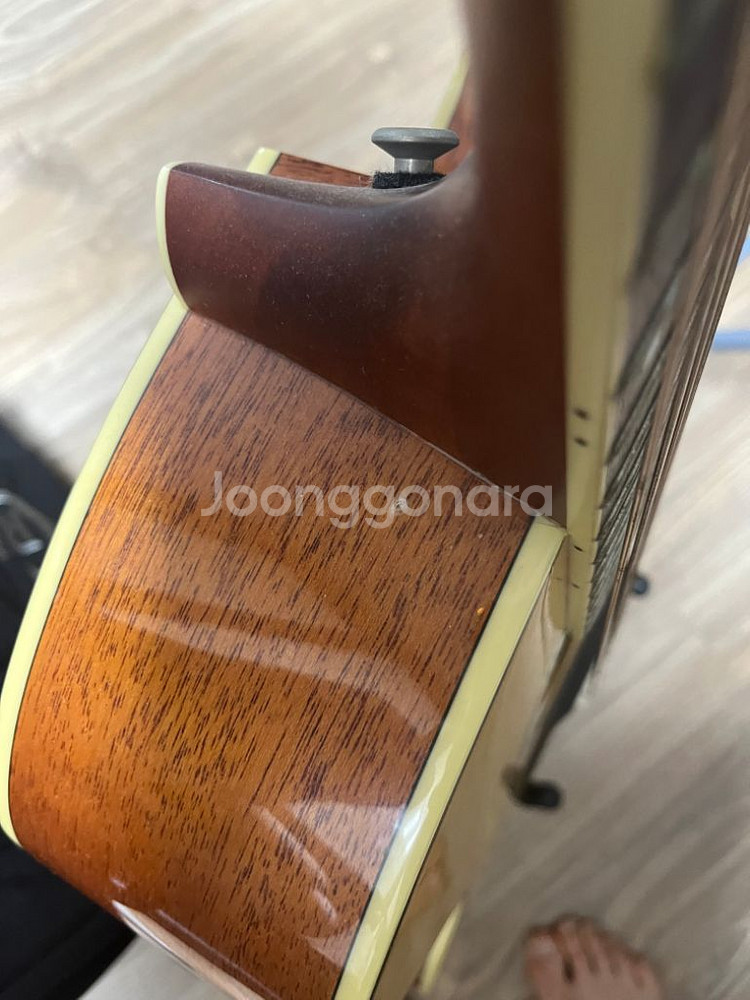 크래프터 글로리아 어쿠스틱 기타 가격다운 급매--1