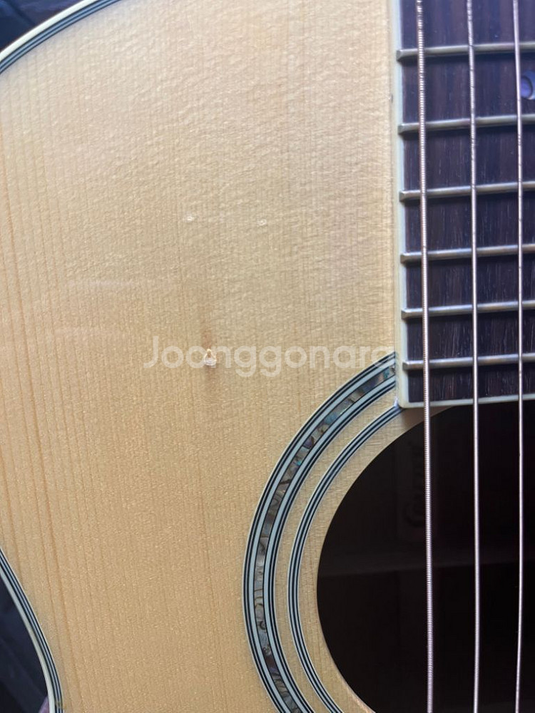 크래프터 글로리아 어쿠스틱 기타 가격다운 급매--3