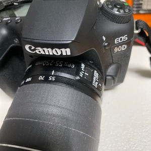 Canon EOS 90D + EFS 55-250mm