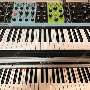 moog matriarch