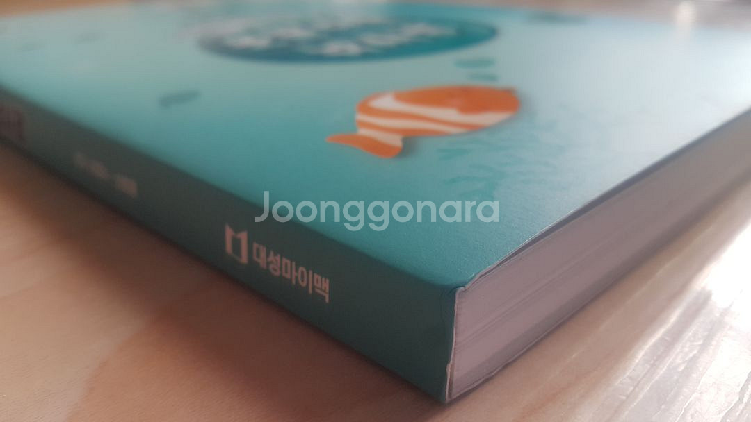 대성마이맥 영어 이영수 못말리는 낚시광--4