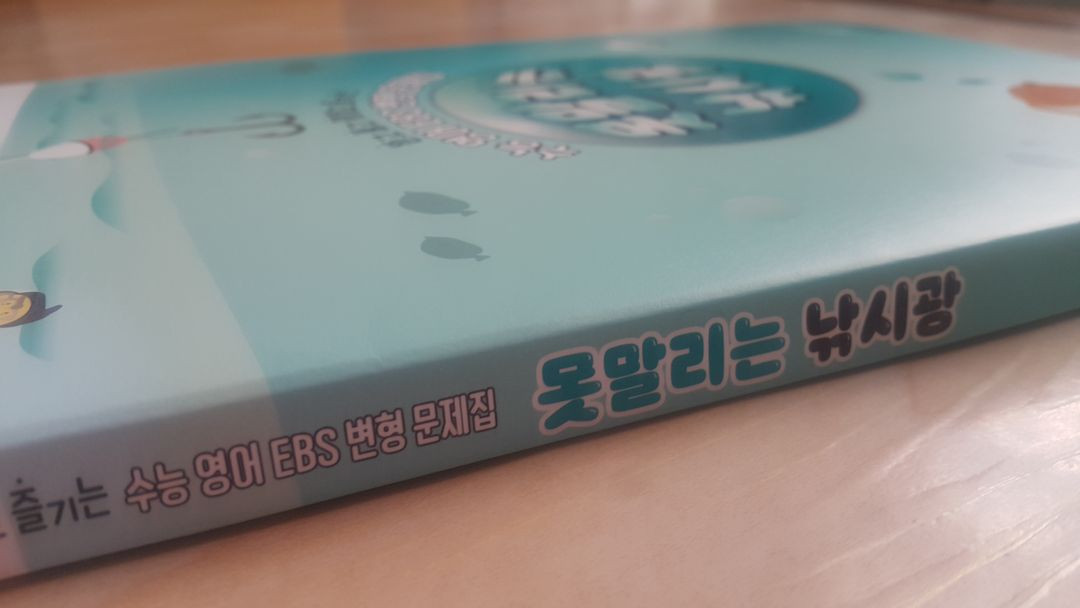대성마이맥 영어 이영수 못말리는 낚시광 이미지