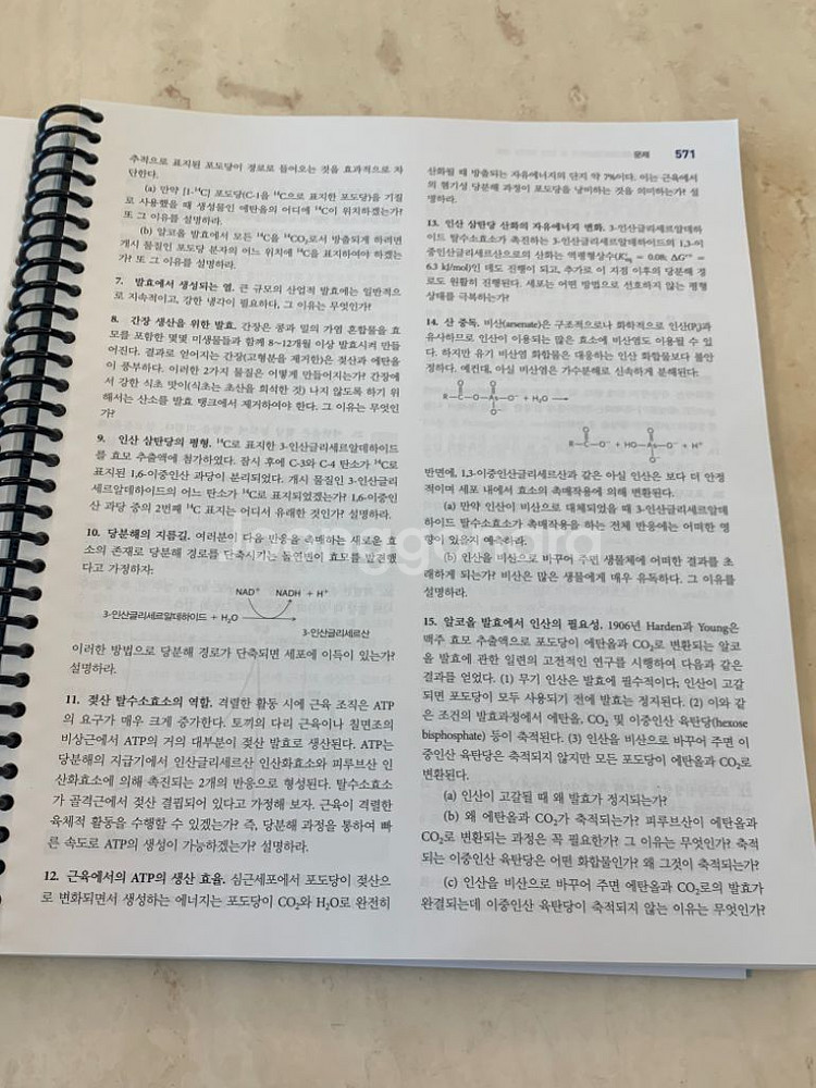 생화학(하) 7판--3