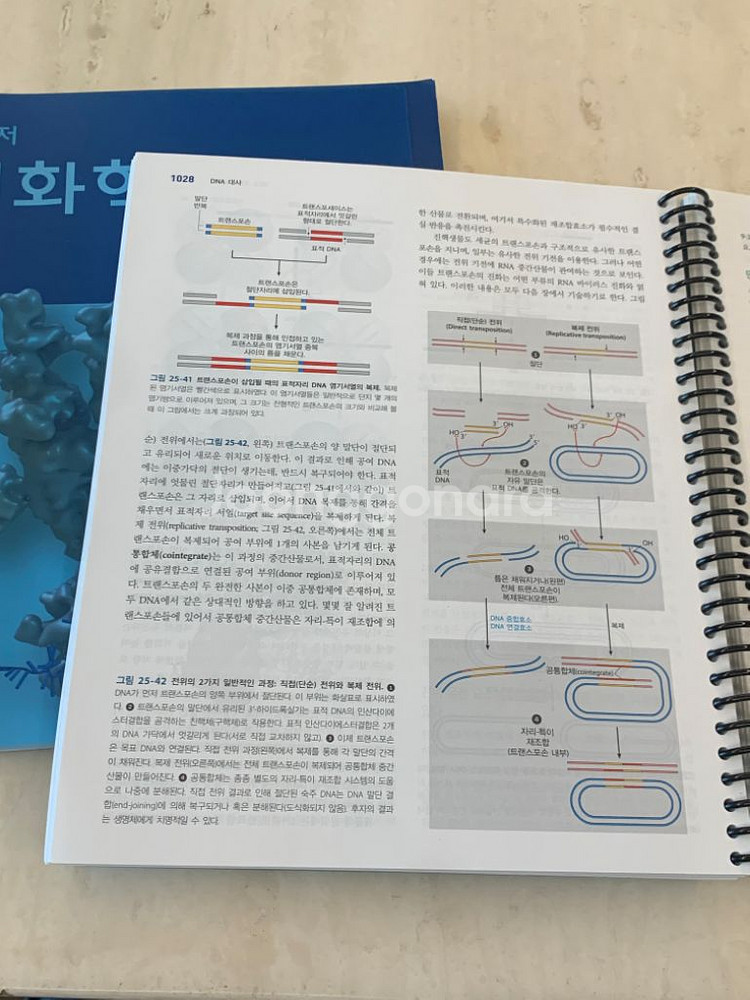 생화학(하) 7판--2