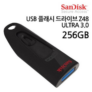 2개/ SanDisk 플래시 드라이브/ OUQ036