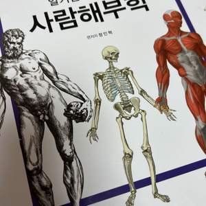 알기쉽게 풀이한 사람해부학