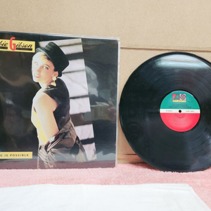 데비 깁슨 Debbie Gibson lp