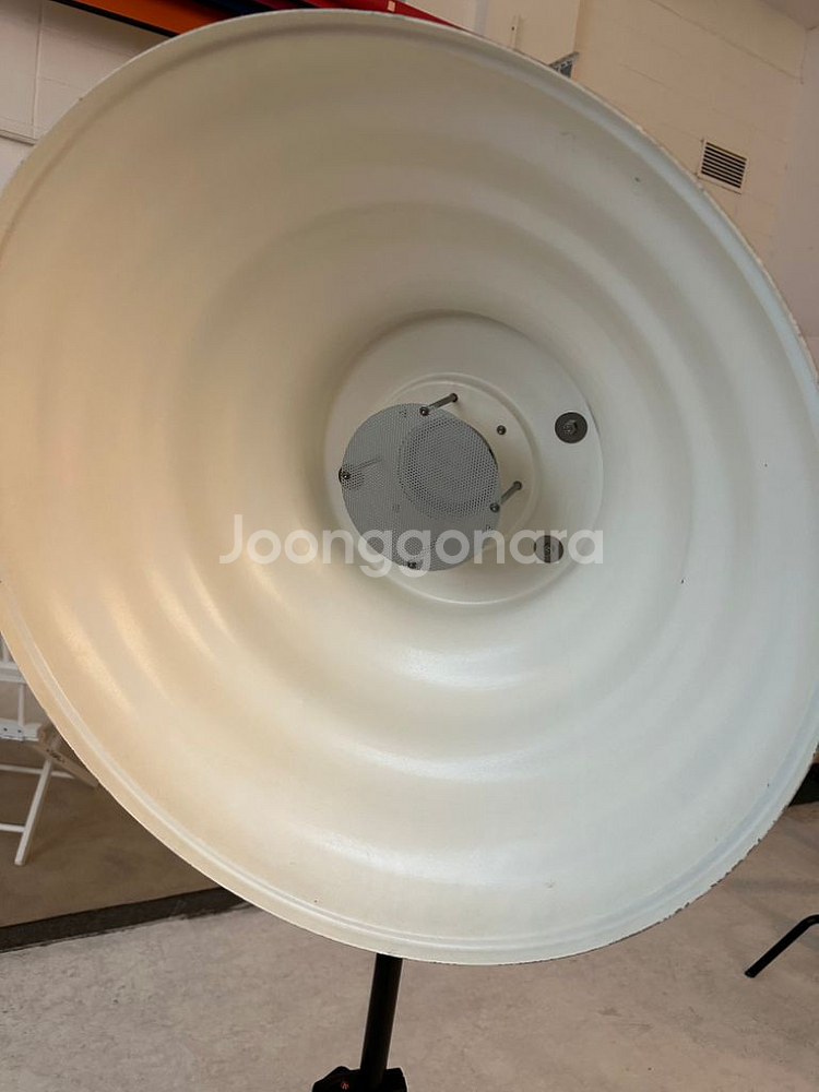 mola setti White--1