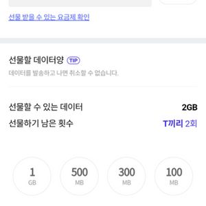 skt데이터 2기가