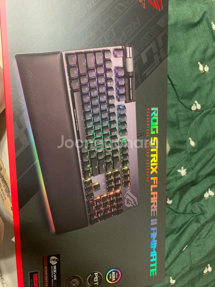 아수스 rog animate--0