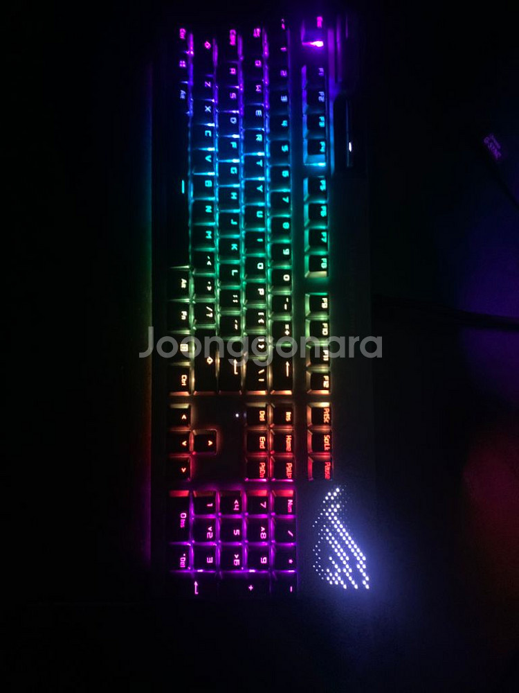 아수스 rog animate--5