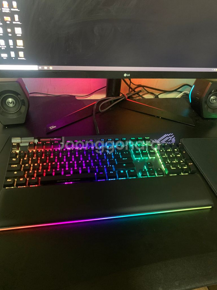 아수스 rog animate--6