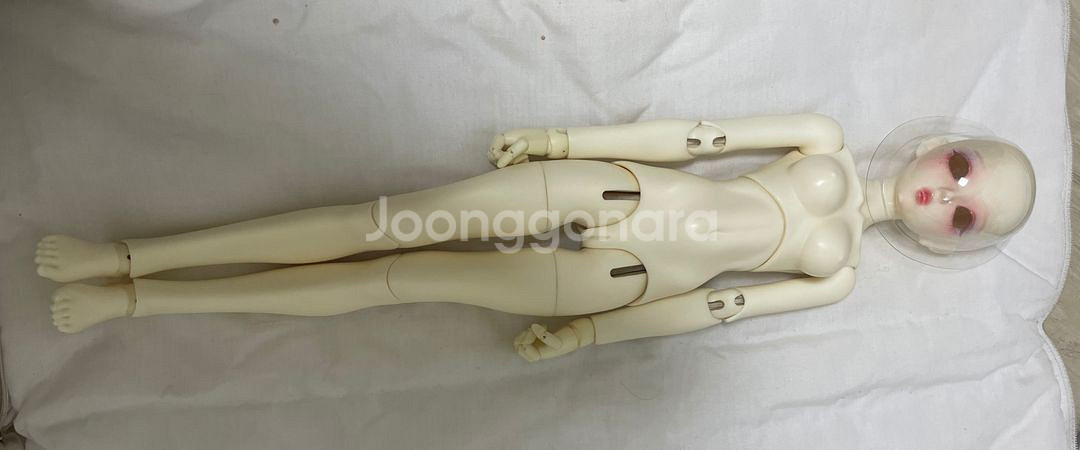 물품포함 구체관절인형 드리밍돌 러블리벳시--7